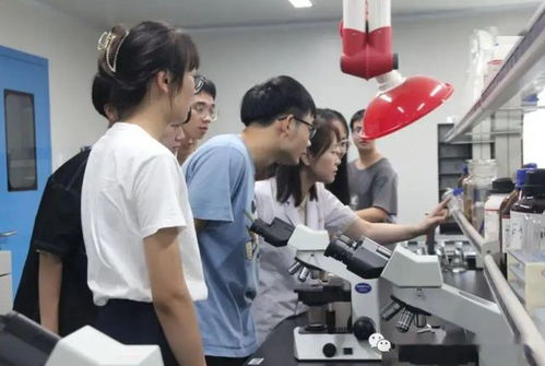 教育的本真 從能力提升到職業(yè)選擇——解析大學(xué)生不愿進工廠現(xiàn)象